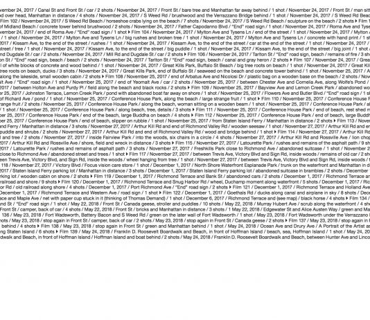 New York in perimetro, ma non marginale. Intervista a Antonio Rovaldi Antonio Rovaldi, The Sound of The Woodpecker Bill: New York City. List 01 / Manhattan. Pagina 446/447