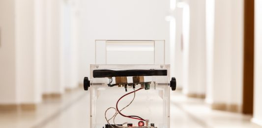 Dove abita il genio: Laura Calderoni ci parla del festival della scienza di Roma