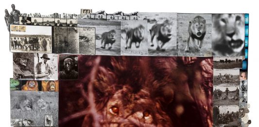 Il Ponte tra i ruggenti scatti di Peter Beard e i ghiacci di Axel Hutte Il Ponte, lotto 619 - Peter Beard