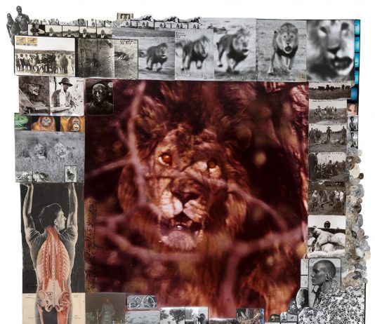 Il Ponte tra i ruggenti scatti di Peter Beard e i ghiacci di Axel Hutte Il Ponte, lotto 619 - Peter Beard