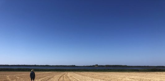 Hypermaremma: le immagini dell’installazione di Massimo Uberti nell’Oasi di Burano Massimo Uberti per Hypermaremma