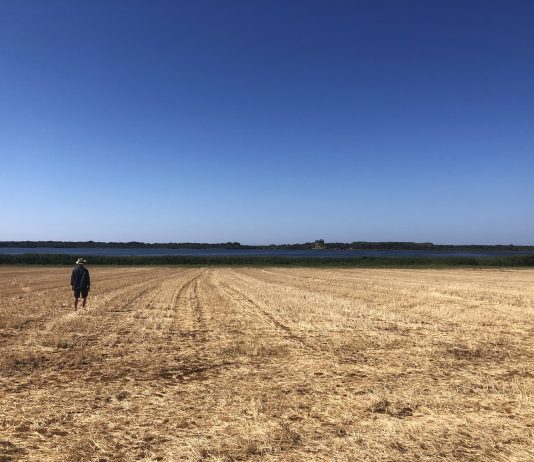 Hypermaremma: le immagini dell’installazione di Massimo Uberti nell’Oasi di Burano Massimo Uberti per Hypermaremma