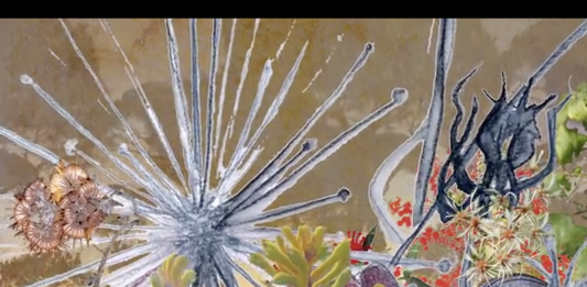 ‘Homemade’: Magazzino Italian Art riapre con 8 artisti italiani a NY