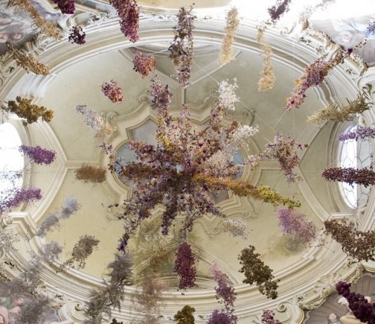 Tra natura e architettura, il silenzioso Florilegium di Rebecca Louise Law a Parma