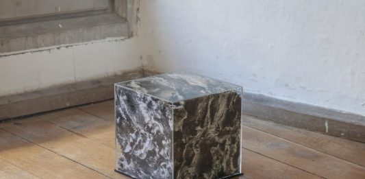 “Ah”: doppia intervista per una mostra oltre confine durante il lockdown Installation view foto: Muriel Hediger