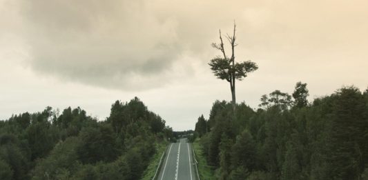 Il cinema d’autore in streaming, con le Nuove Utopie di Fondazione Pini