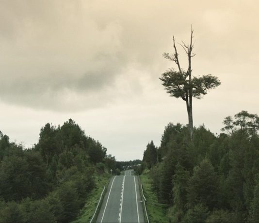 Il cinema d’autore in streaming, con le Nuove Utopie di Fondazione Pini