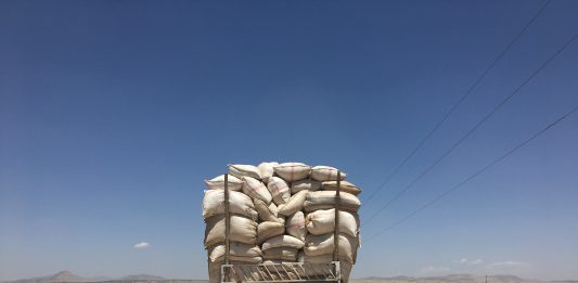 2 milioni per l’arte italiana: torna l’Italian Council, con alcune novità Luca Vitone, Romanistan, progetto vincitore della quarta edizione dell'Italian Council (2018)