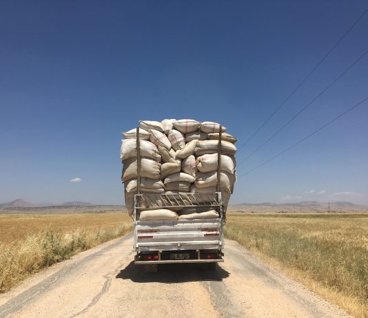 2 milioni per l’arte italiana: torna l’Italian Council, con alcune novità Luca Vitone, Romanistan, progetto vincitore della quarta edizione dell'Italian Council (2018)