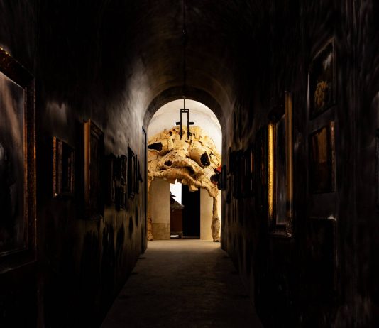 Burocrazia e assenze di prospettive: così il Musja di Roma chiude