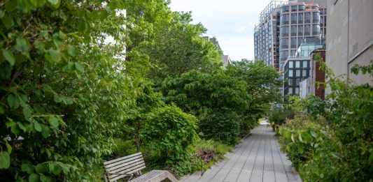 Il parco High Line torna a rifiorire dopo il Coronavirus