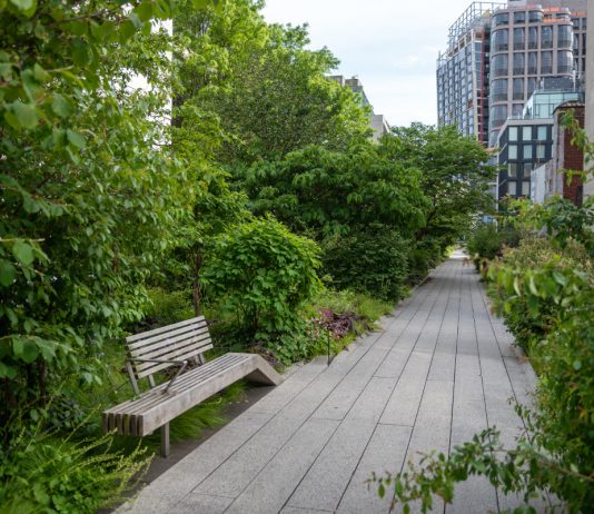 Il parco High Line torna a rifiorire dopo il Coronavirus