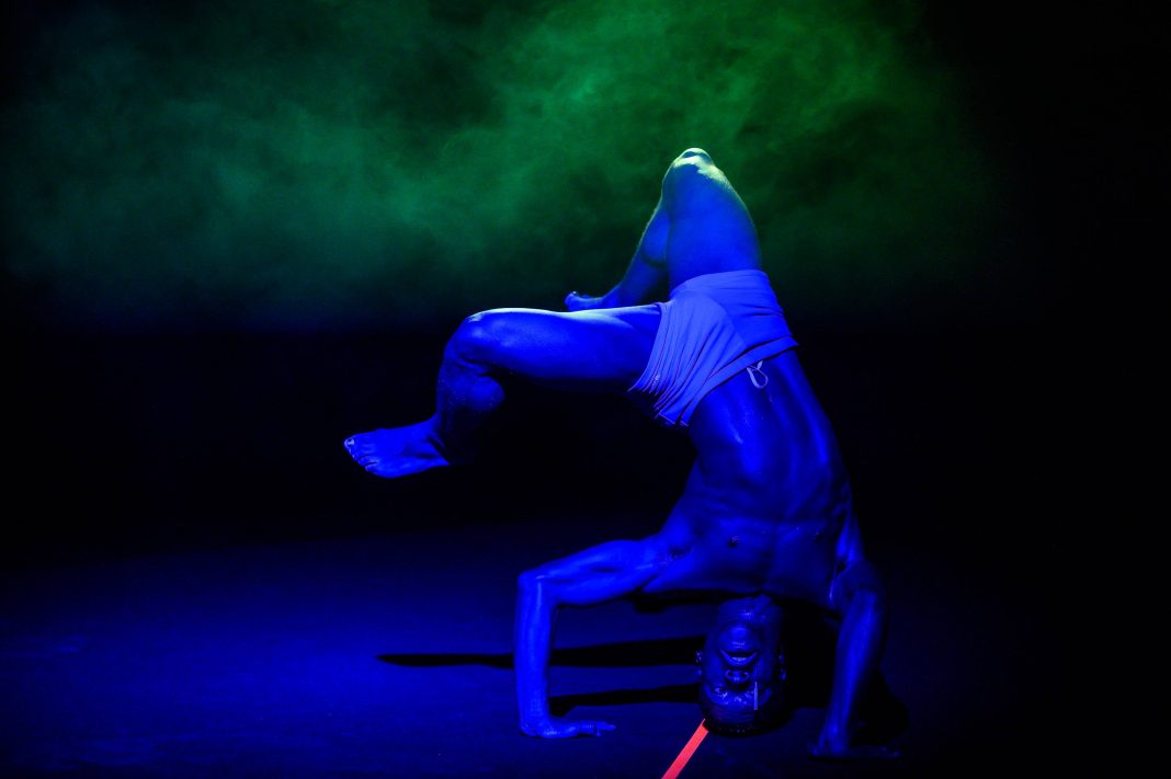 Catarina Miranda_Dreamer6_┬® Jose Caldeira