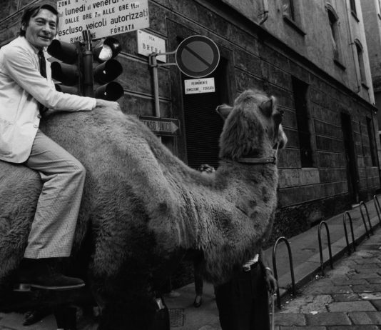 I ‘Viaggi straordinari’ di Aldo Mondino a Villa Bertelli