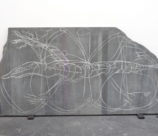 Neon, coccodrilli, Fibonacci: un racconto ispirato a Mario Merz