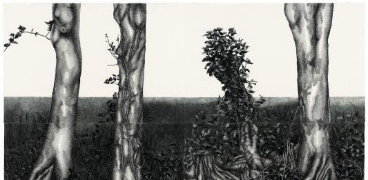 Senza Nuvole: Alberto Scodro e Silvano Tessarollo a Bassano del Grappa