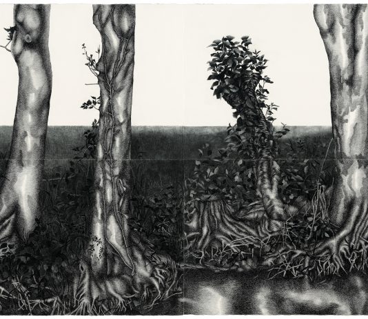 Senza Nuvole: Alberto Scodro e Silvano Tessarollo a Bassano del Grappa