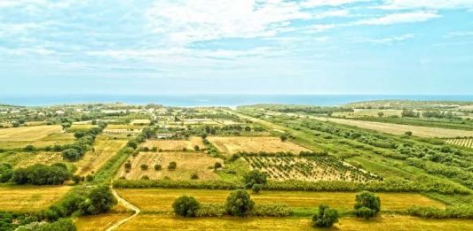 L’arte contemporanea cresce tra gli ulivi di Noto: ecco il nuovo Parco dell’Anima Il Parco dell'Anima, a Noto