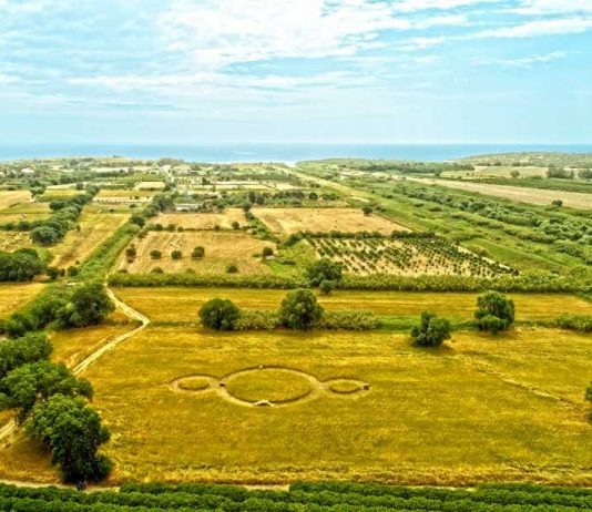 L’arte contemporanea cresce tra gli ulivi di Noto: ecco il nuovo Parco dell’Anima Il Parco dell'Anima, a Noto