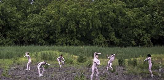 Stagioni Invisibili: l’Estate di Fabrizio Favale, tra i campi della Bassa bolognese