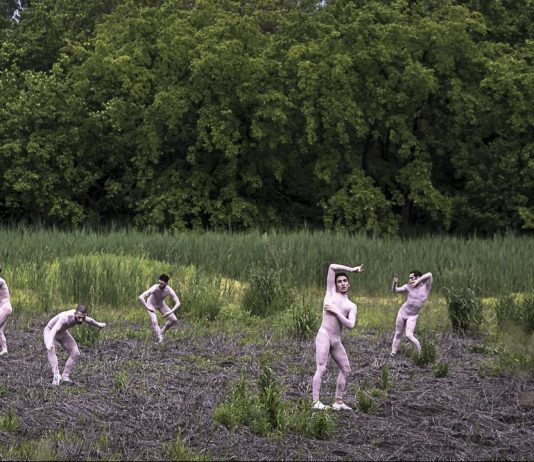 Stagioni Invisibili: l’Estate di Fabrizio Favale, tra i campi della Bassa bolognese