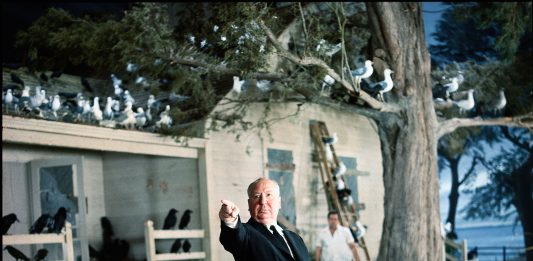 A Monza una mostra per i 40 anni dalla scomparsa di Alfred Hitchcock Alfred Hitchcock, Uccelli, 1963 © Universal Pictures