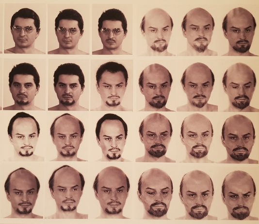 Fernando De Filippi, Arte, Museo Castromediano Fernando De Filippi, Arte al Museo Castromediano di Lecce