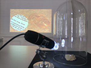  Stefano Cagol, The End of the Flood, 2020, installazione, trilobite fossile, 4 x 7 mm, 500milioni di anni, ritaglio dalla Genesi miniaturizzata, 5 mm, microscopio digitale