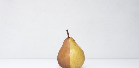 Nel modenese, l’arte dal vivo riparte dal territorio, con PAM!