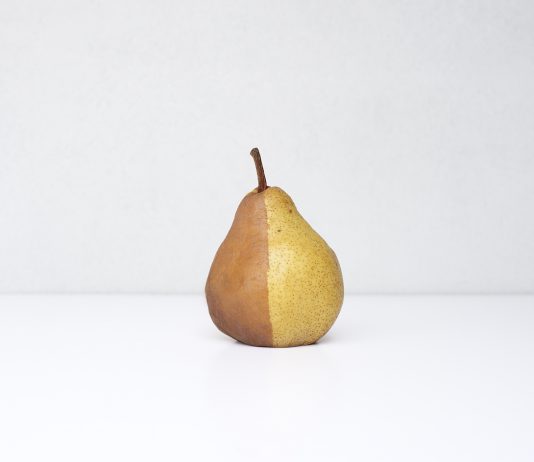 Nel modenese, l’arte dal vivo riparte dal territorio, con PAM!