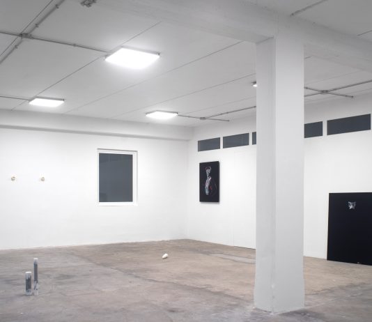 Apparizioni manieriste nella Hadal Zone: bn+BRINANOVARA allo Spazio In Situ La mostra di bn+brinanovara da Spazio In Situ