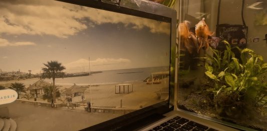 Zapping tra la videoarte italiana, in onda al Centrul de Interes di Cluj