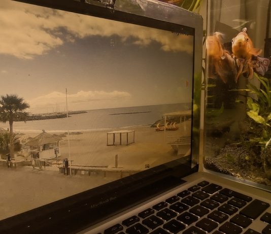 Zapping tra la videoarte italiana, in onda al Centrul de Interes di Cluj