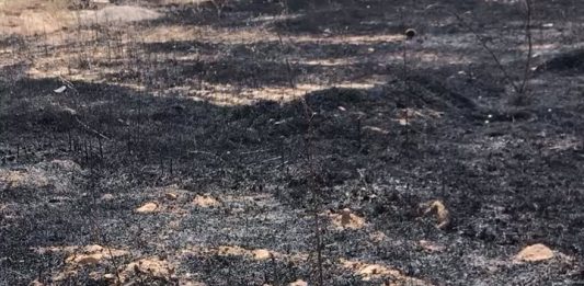 Scorched Earth: da Christie’s le opere realizzate con la terra bruciata in Iraq Scorched Earth