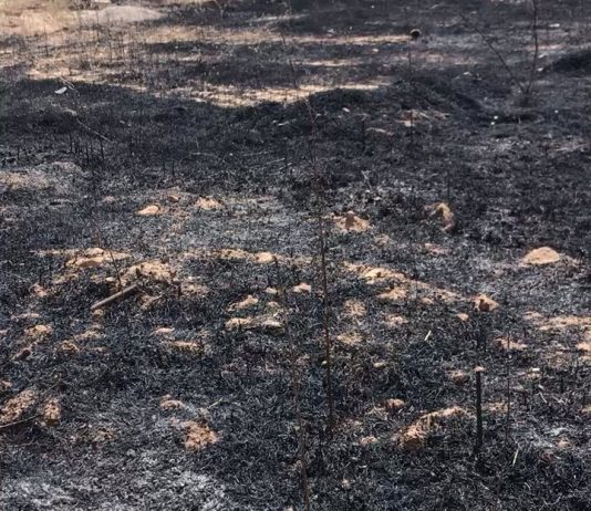 Scorched Earth: da Christie’s le opere realizzate con la terra bruciata in Iraq Scorched Earth