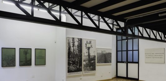 A Milano nasce Zona Monti: intervista agli ideatori della nuova “rete” Archivio Agnetti