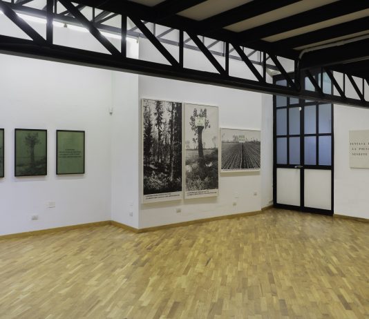 A Milano nasce Zona Monti: intervista agli ideatori della nuova “rete” Archivio Agnetti