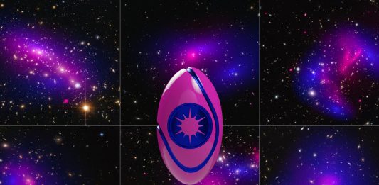 Tra new technology e Maestri da riscoprire: il 2021 di FMAV