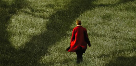 Semina il vento: il lungometraggio di Danilo Caputo per gli ulivi pugliesi