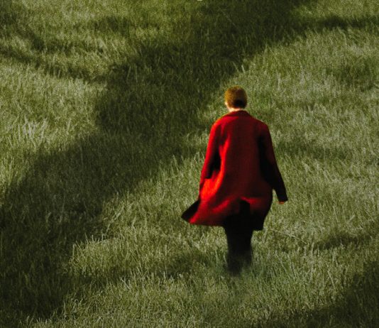 Semina il vento: il lungometraggio di Danilo Caputo per gli ulivi pugliesi