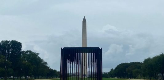 Society’s Cage: a Washington DC un cubo d’acciaio per George Floyd e le vittime del razzismo
