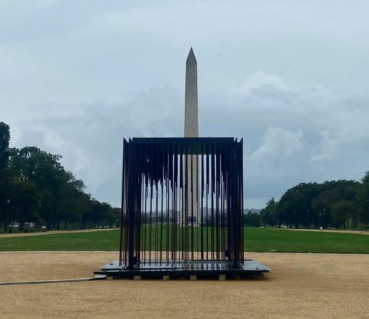 Society’s Cage: a Washington DC un cubo d’acciaio per George Floyd e le vittime del razzismo