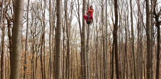 “Tree Time” al MUSE di Trento. Il racconto della mostra