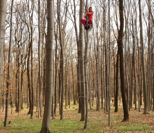 “Tree Time” al MUSE di Trento. Il racconto della mostra