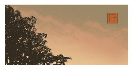 Una mostra virtuale di poster, per ricordare le opere di Frank Lloyd Wright