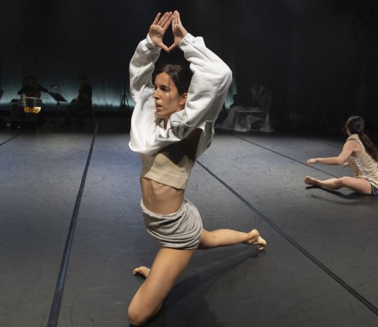 Musica e movimento tra densità e silenzi, Simona Bertozzi a Torinodanza Compagnia Simona Bertozzi, Tra le linee - foto di Luca Del Pia