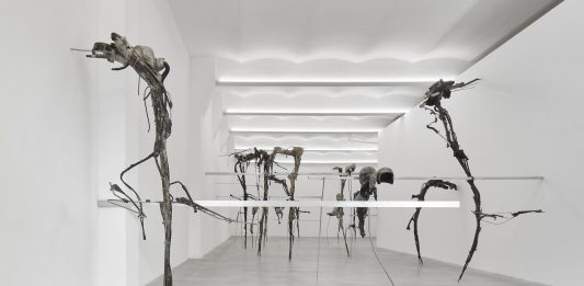 Giulia Cenci, Fango – Spazio A