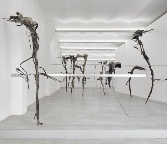 Giulia Cenci, Fango – Spazio A