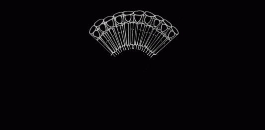 En Route to the South – parallel migrations Elena Mazzi & Rosario Sorbello