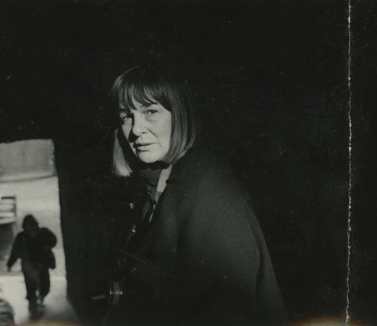 Artecinema 2020 va online: la rassegna di film d’arte in streaming